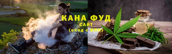 индика Алзамай
