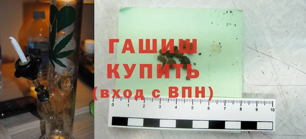 индика Алзамай