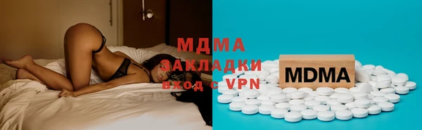 индика Алзамай
