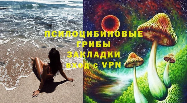 индика Алзамай