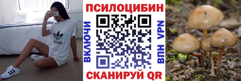 где можно купить   Кыштым  Галлюциногенные грибы Magic Shrooms 