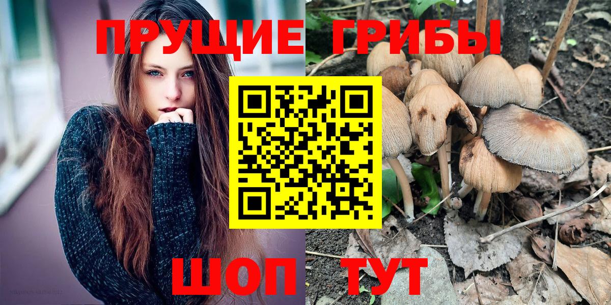 Кыштым  Галлюциногенные грибы мицелий  купить наркотик  Вход с VPN  Галлюциногенные грибы Magic Shrooms 
