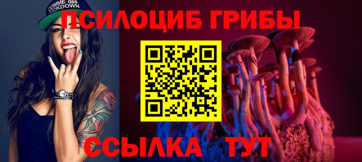 Галлюциногенные грибы Psilocybine cubensis Кыштым